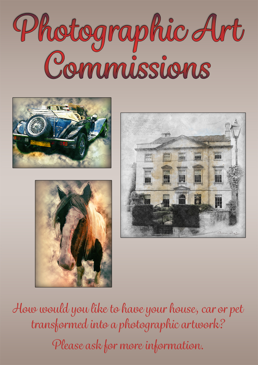 serenarts-gallery-photo-art-commissions